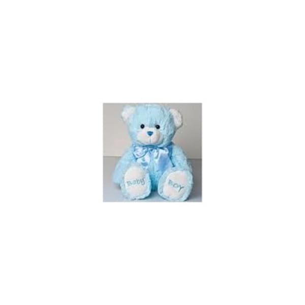 Large Baby Boy Teddy Bear